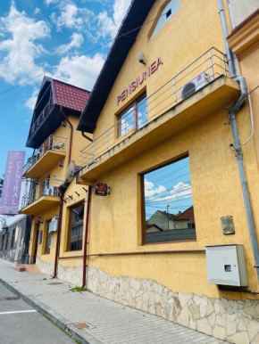 Pensiunea Central, Reghin